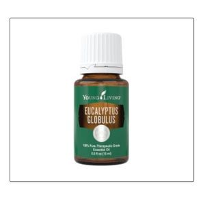 15ml Eucalyptus Young Living oil
